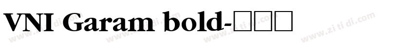 VNI Garam bold字体转换